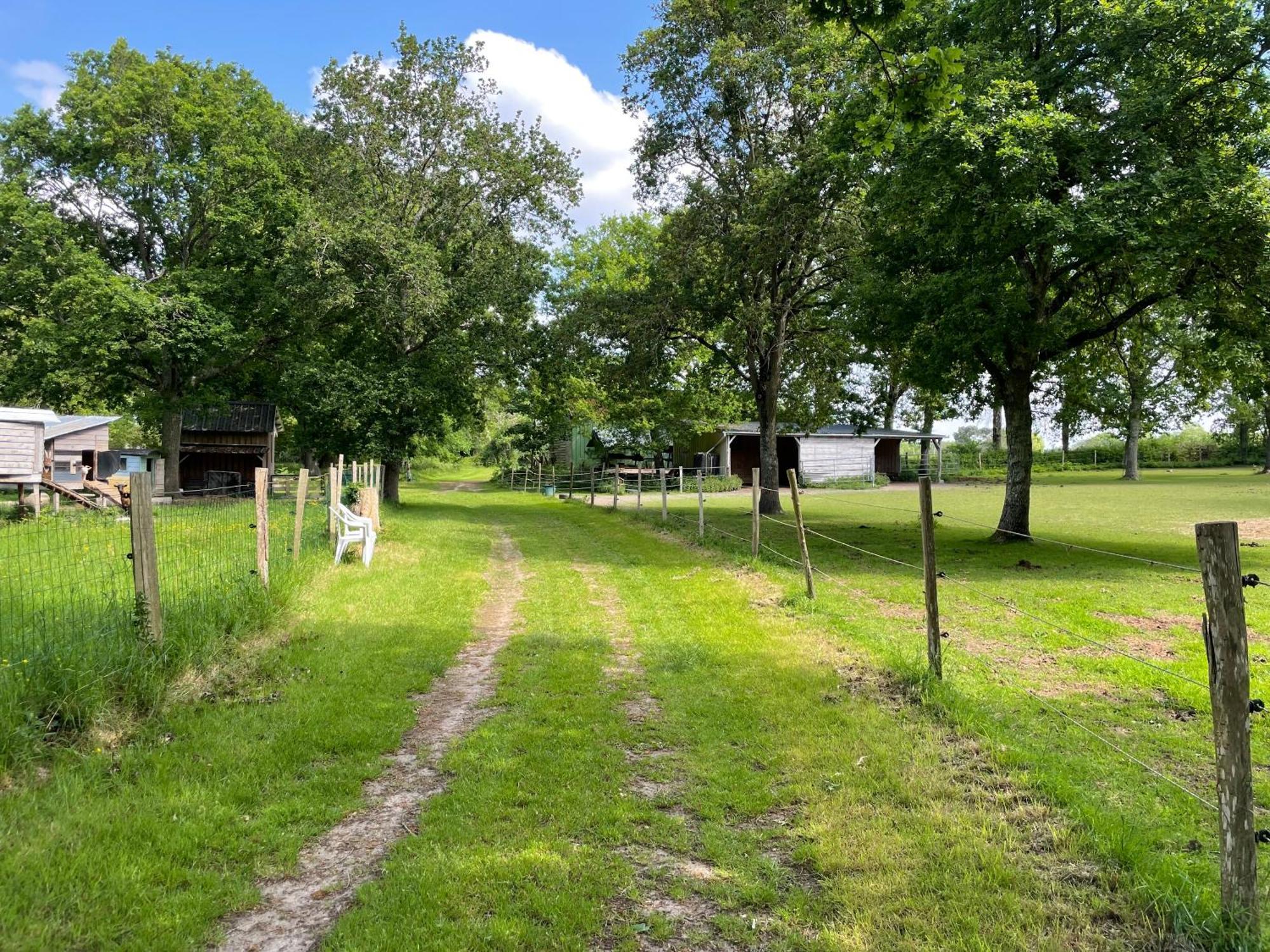 Les Fermes De Kercadoret Belz Exterior foto